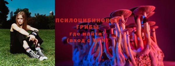 PSILOCYBIN Балахна