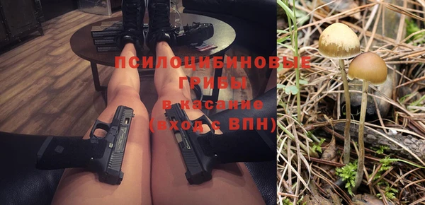 PSILOCYBIN Балахна