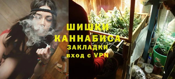 PSILOCYBIN Балахна
