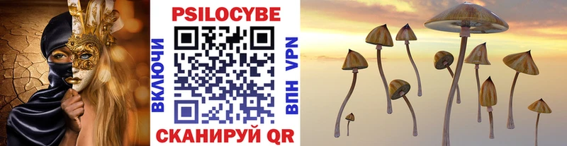 ссылка на мегу рабочий сайт Петушки Псилоцибиновые грибы Psilocybine cubensis сколько стоит